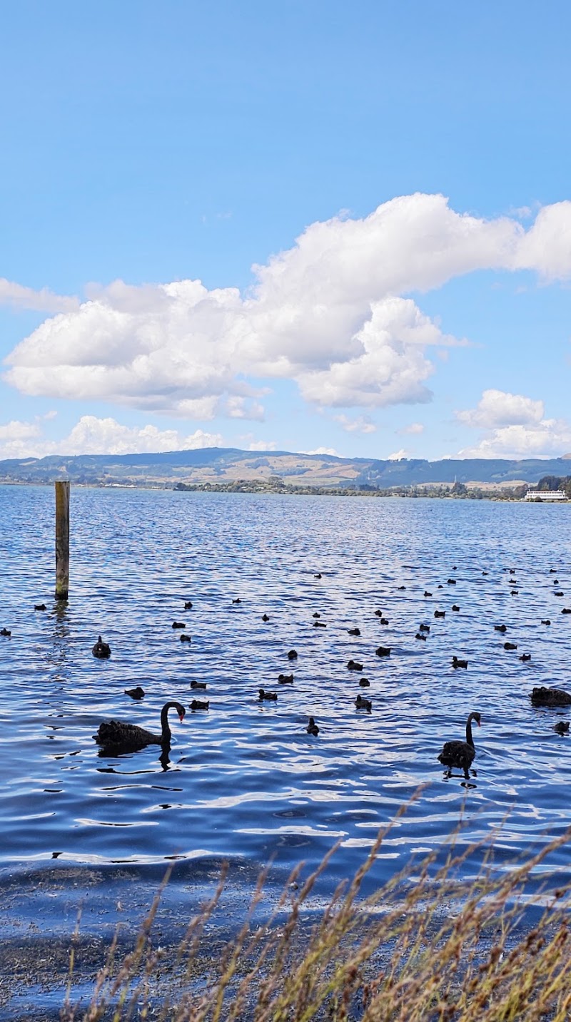 Lake Taupo - Lake Taupo, Waikato Region, New Zealand