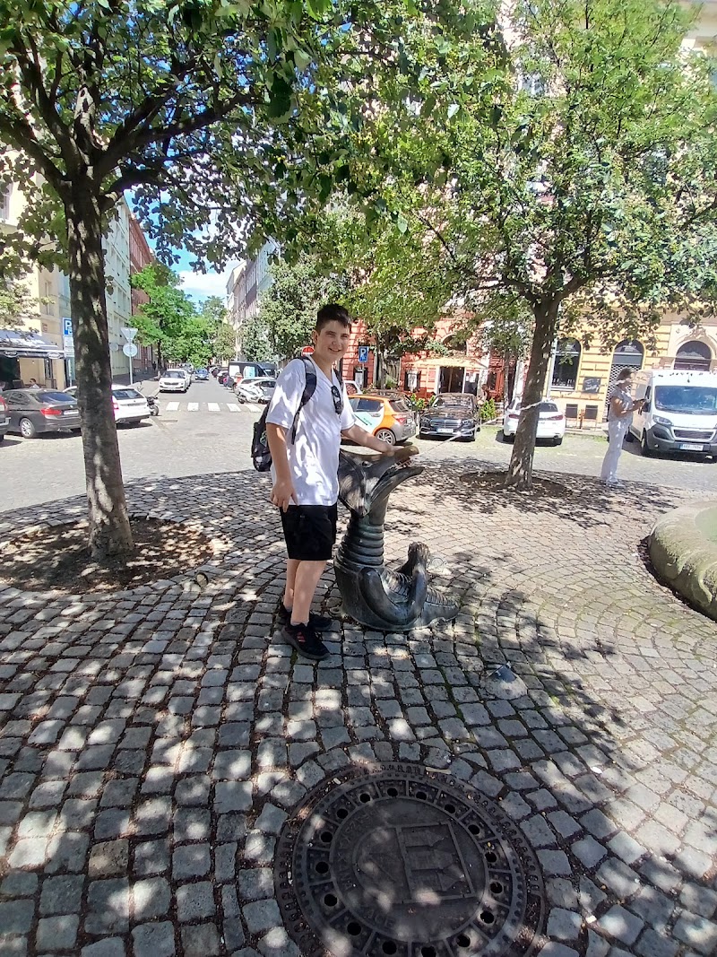 Fontána Vinohrady - Fontána Vinohrady Americká 120 00, Vinohrady, 120 00 Praha-Praha 2, Czechia