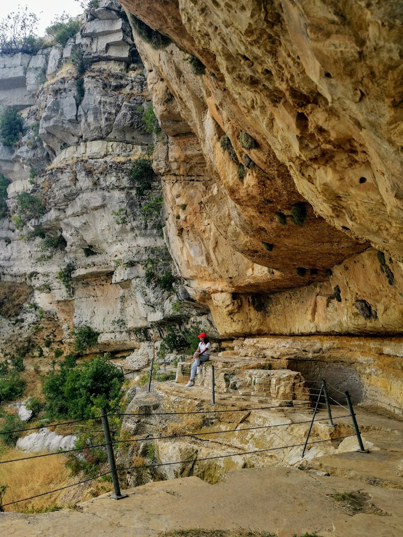 Shouf Biosphere Reserve /Niha Fortress - Shouf Biosphere Reserve /Niha Fortress, HJH5+XH2, Niha, Lebanon