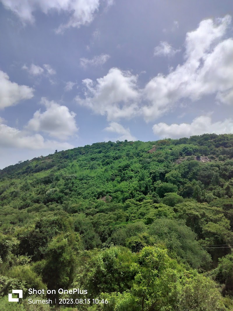 DD Hills