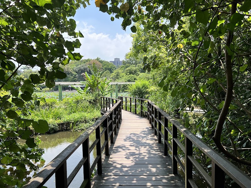 植物園和平西路圓環 - 植物園和平西路圓環 Section 2, Heping W Rd, Zhongzheng District, Taipei City, Taiwan 100