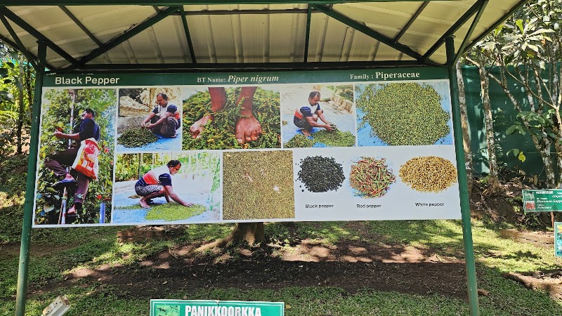 The Spice Route Ayurvedic & Spices Garden - The Spice Route Ayurvedic & Spices Garden Amaravathi, Kumily, Kerala 685509, India