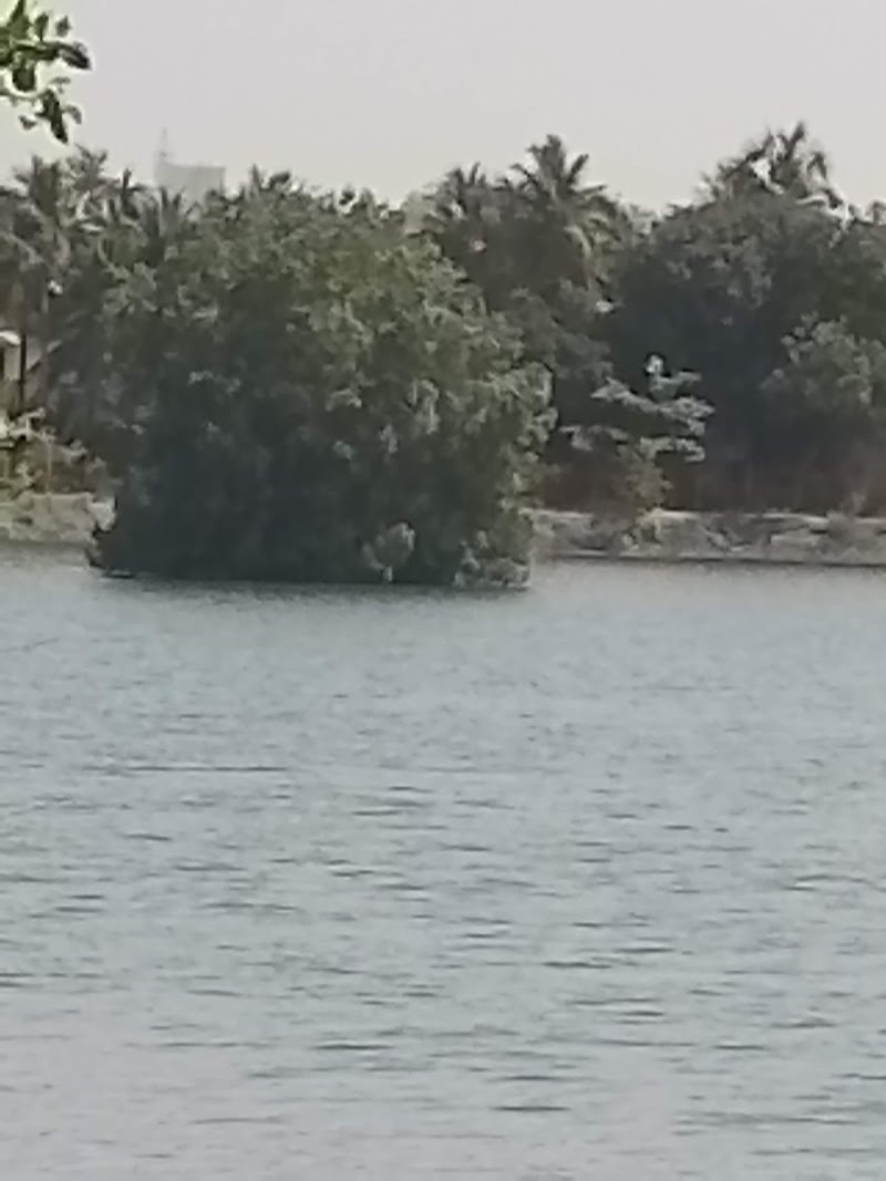 Island of trees - Island of trees X57R+JRX, Ayyappan Nagar, Madipakkam, Tambaram, Tamil Nadu 600091, India