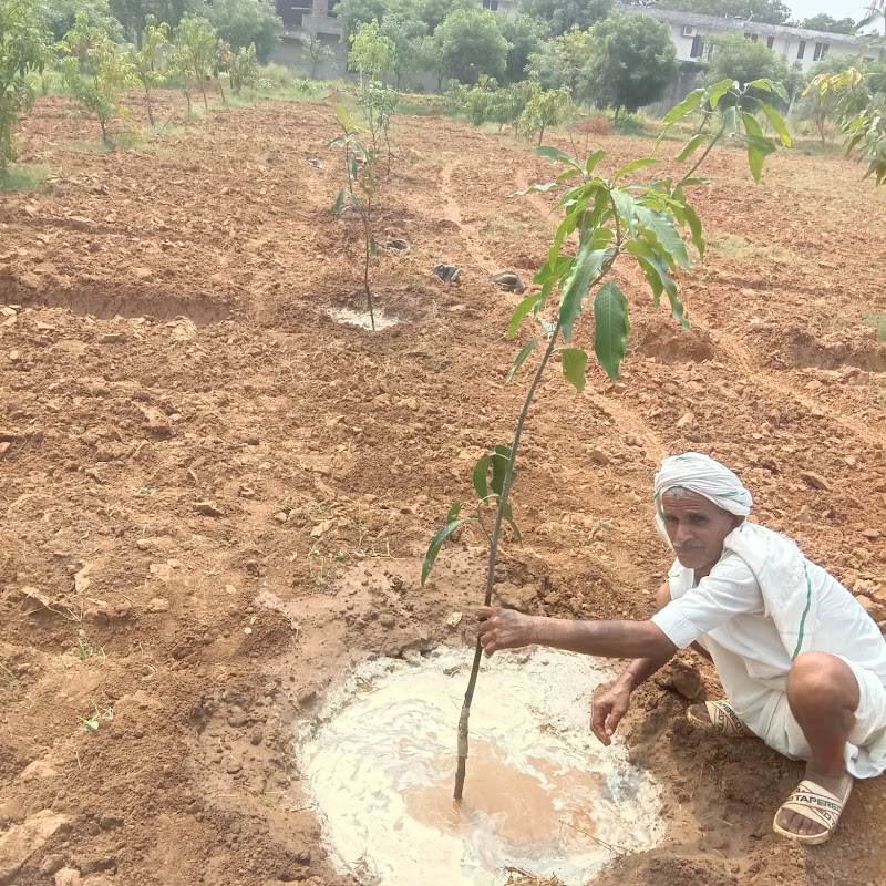Vrikshawali - An Environmental Preservation Society - Vrikshawali - An Environmental Preservation Society, G.S. Residency 2nd, Flat No. F2, Plot No.141, Purani Chungi,, Ajmer Rd, Modi Nagar, Nirmohi Nagar, Jaipur, Rajasthan 302019, India