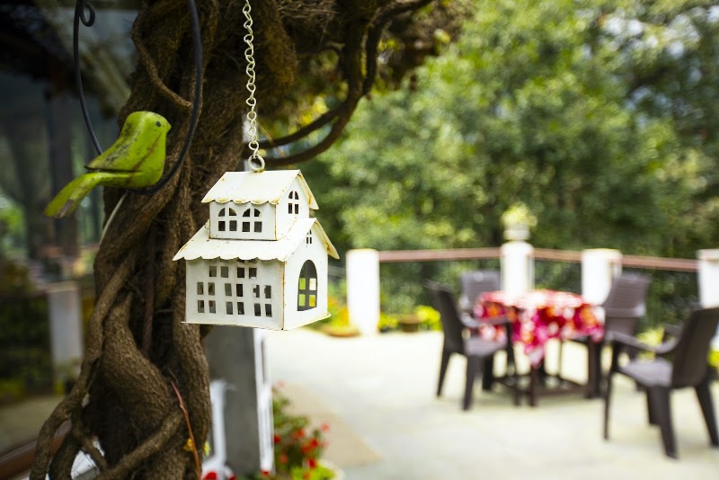 The Hive Cottage - The Hive Cottage, Ayarpatta, Nainital, Uttarakhand 263001, India