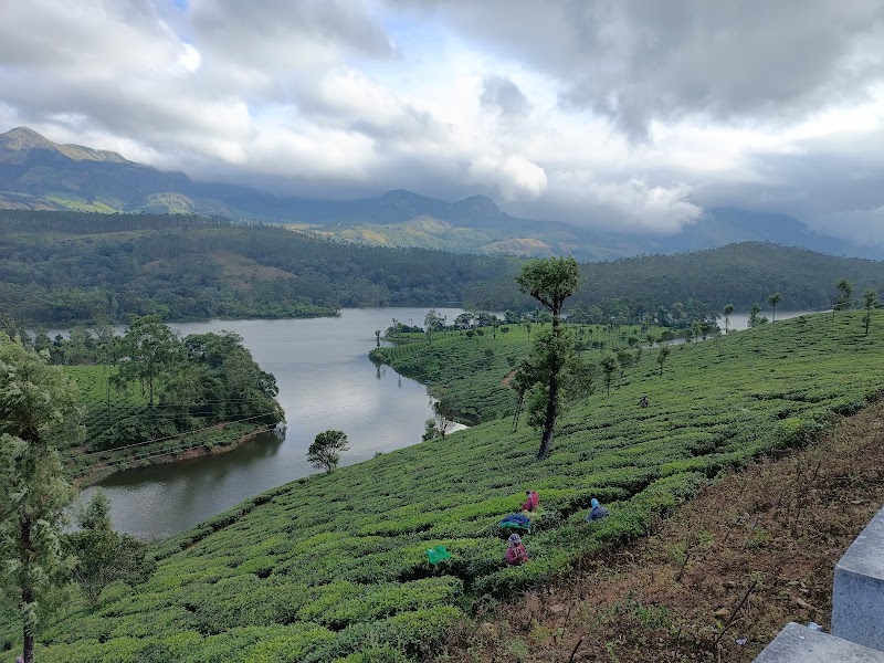 Lockhart Gap Road View Point - Lockhart Gap Road View Point 24PP+8PR, Devikulam, Keralam 685613, India