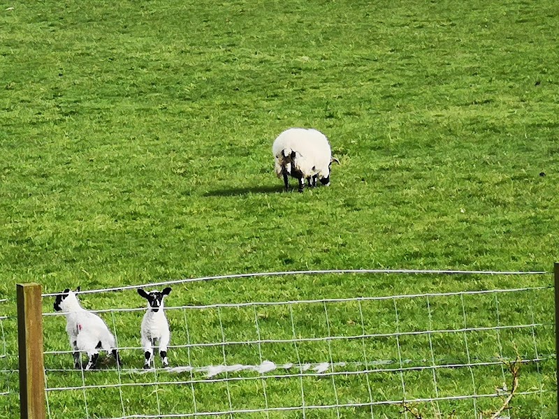Broughton - Broughton, Biggar ML12 6HQ, UK
