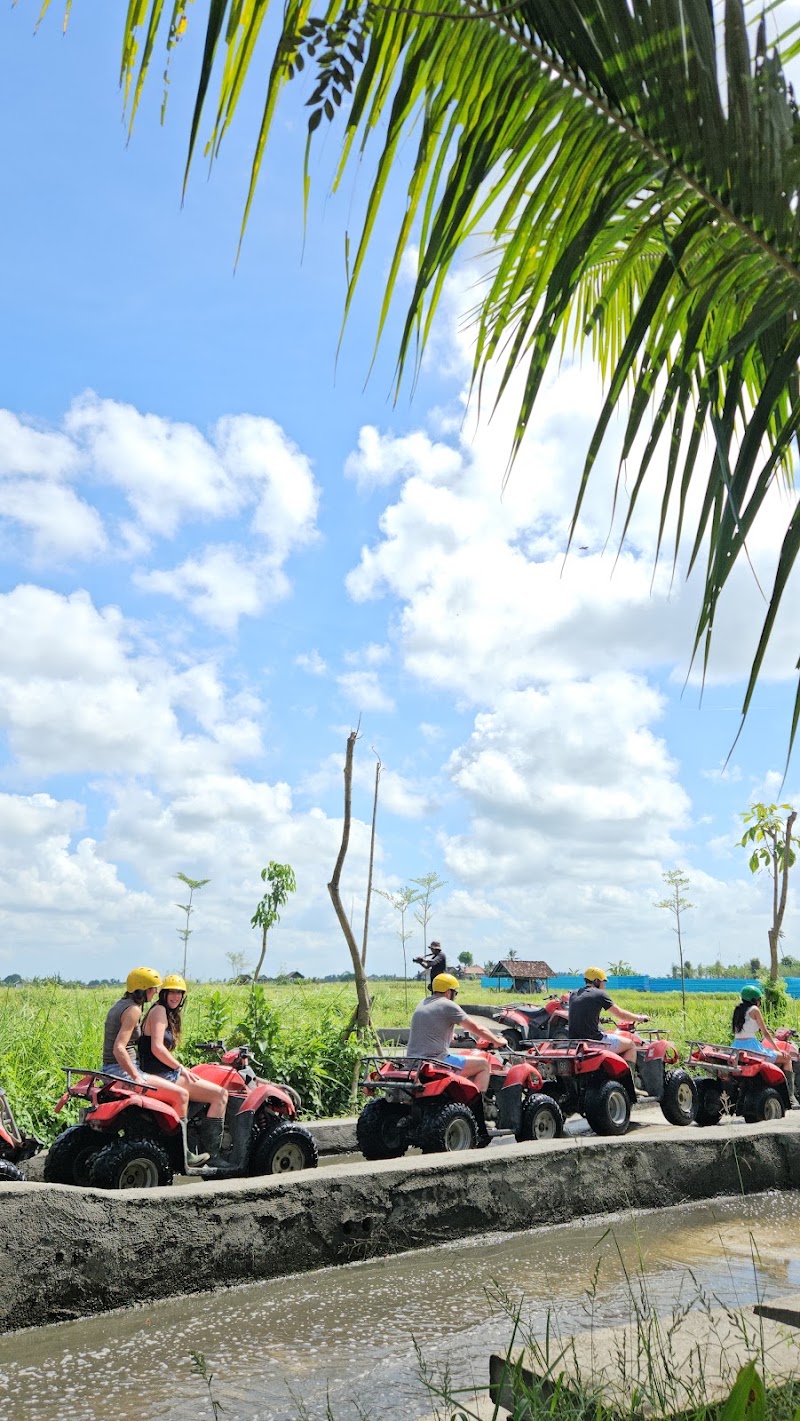 Bali Driver & Tour Guide by Dewa - Bali Driver & Tour Guide by Dewa, Jl. Raya Gentong, Tegallalang, Kecamatan Ubud, Kabupaten Gianyar, Bali 80561, Indonesia