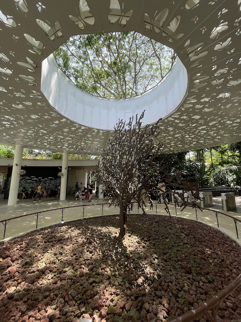 Jacob Ballas Children's Garden - Jacob Ballas Children's Garden 1H Cluny Rd, Singapore 259604