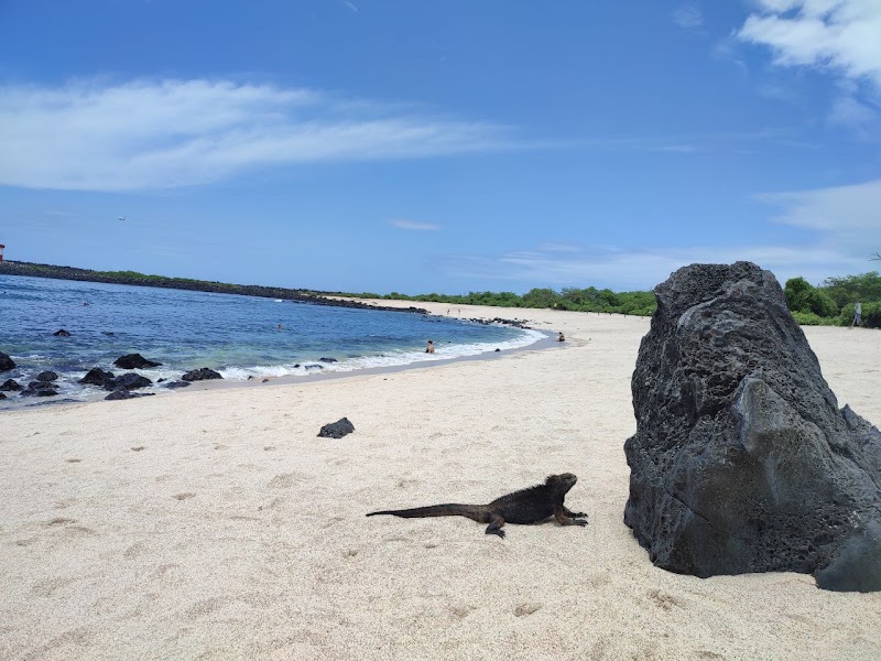 Point Carola Beach - Point Carola Beach, Ecuador