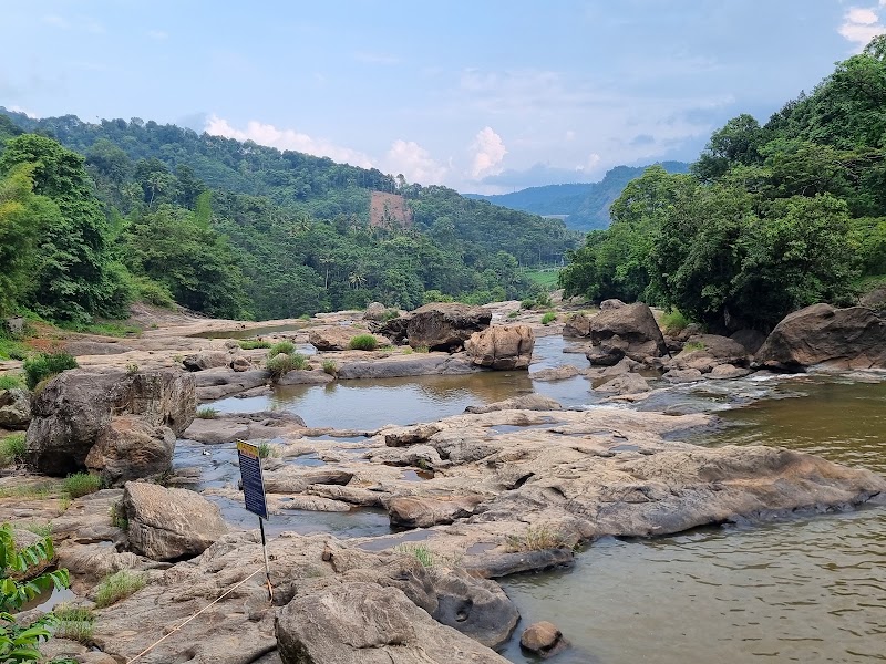 Nayamakad Waterfall - Nayamakad Waterfall 43P6+999, Munnar - Udumalpet Rd, Kannan Devan Hills, Kerala 685612, India