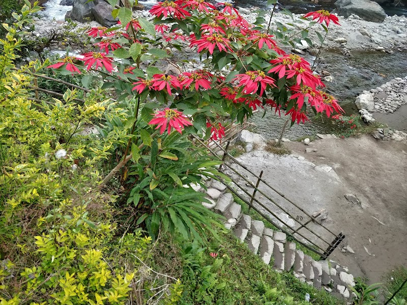 Rimbi Orange Garden - Rimbi Orange Garden Pelling-Rimbi Rd, Pelling City, Sikkim 737113, India