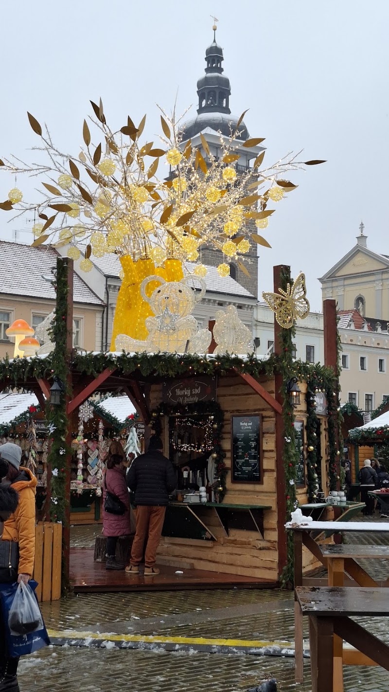 Přemysl Otakar II Square - Přemysl Otakar II Square, Nám. Přemysla Otakara II, 370 01 České Budějovice-České Budějovice 1, Czechia