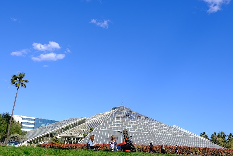 Parc Phœnix - Parc Phœnix 405 Prom. des Anglais, 06200 Nice, France