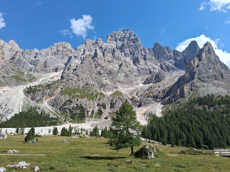Parco Naturale Paneveggio Pale di San Martino
