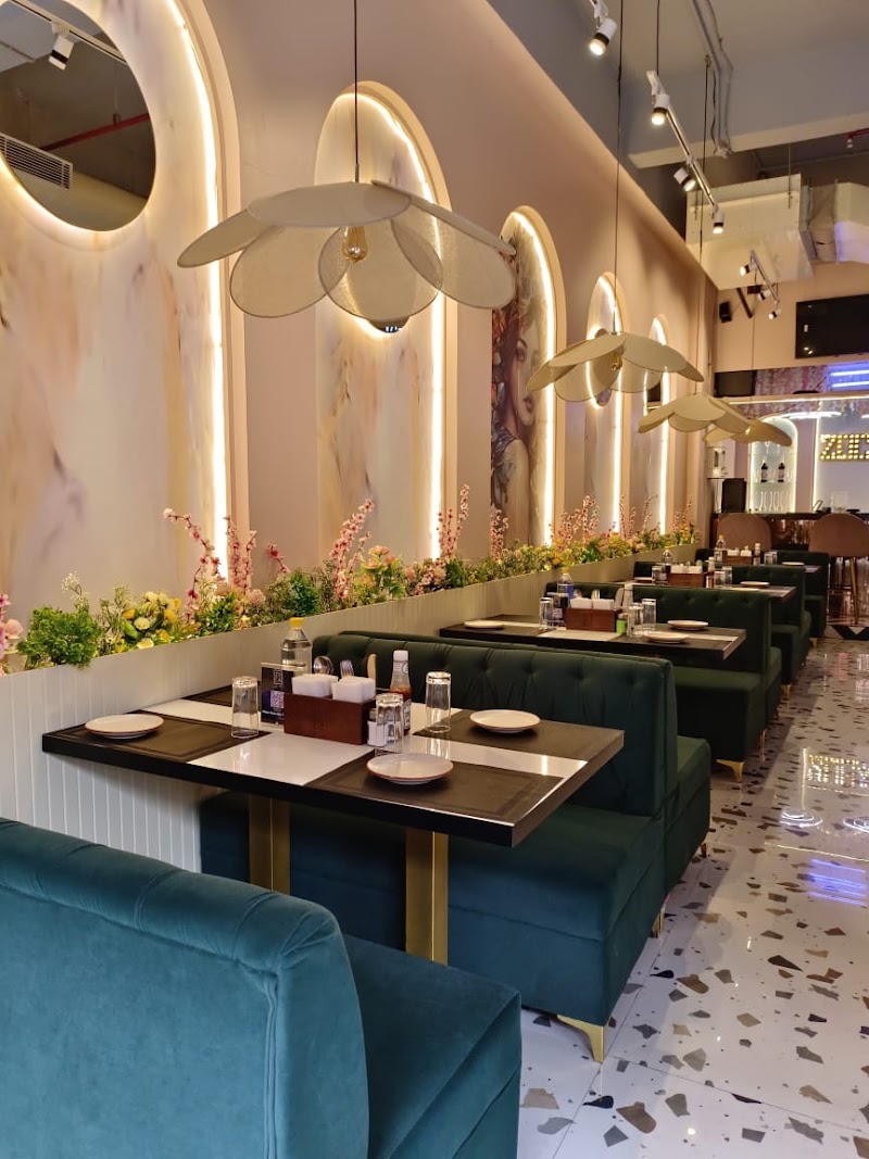 ZOCA Diner Ocus Medley
