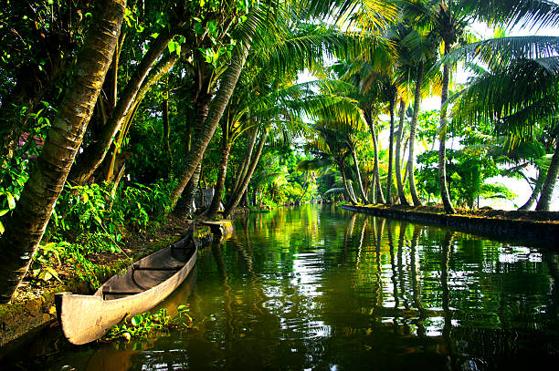 The Great Backwaters