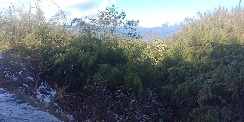 Jalapahar - Jalapahar, Darjeeling, West Bengal, India