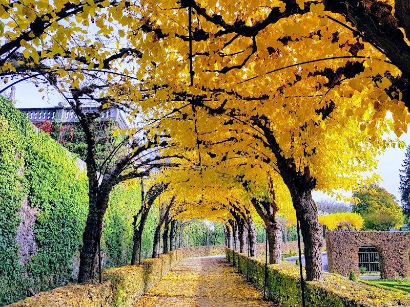 Court Garden - Court Garden, Residenzpl. 2, 97070 Würzburg-Altstadt, Germany