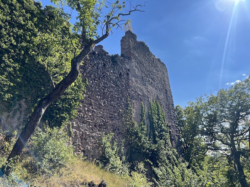 Château du Haut-Ribeaupierre (Or Altenkastel) - Château du Haut-Ribeaupierre (Or Altenkastel), 68150 Ribeauvillé, France