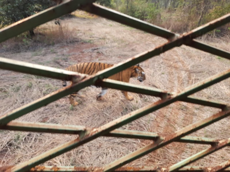 Wild life Sanctuary - Wild life Sanctuary 3QVJ+JHM, Atal Nagar-Nava Raipur, Chhattisgarh 493661, India