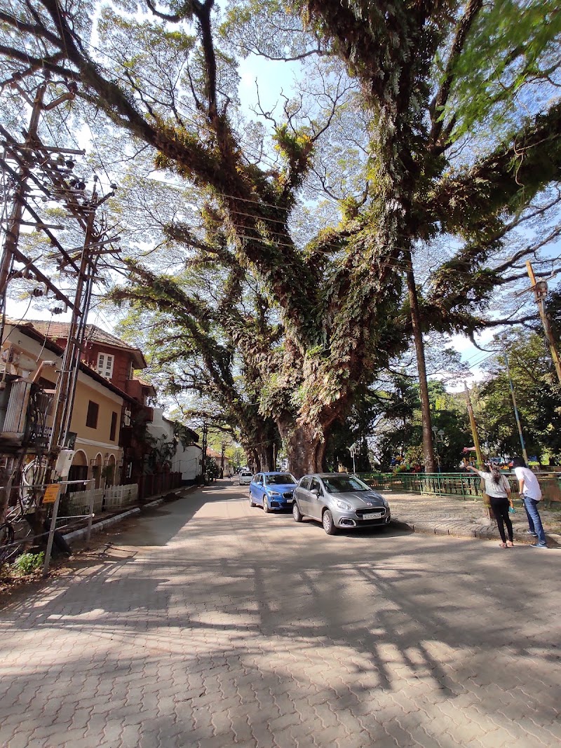 Tower Road