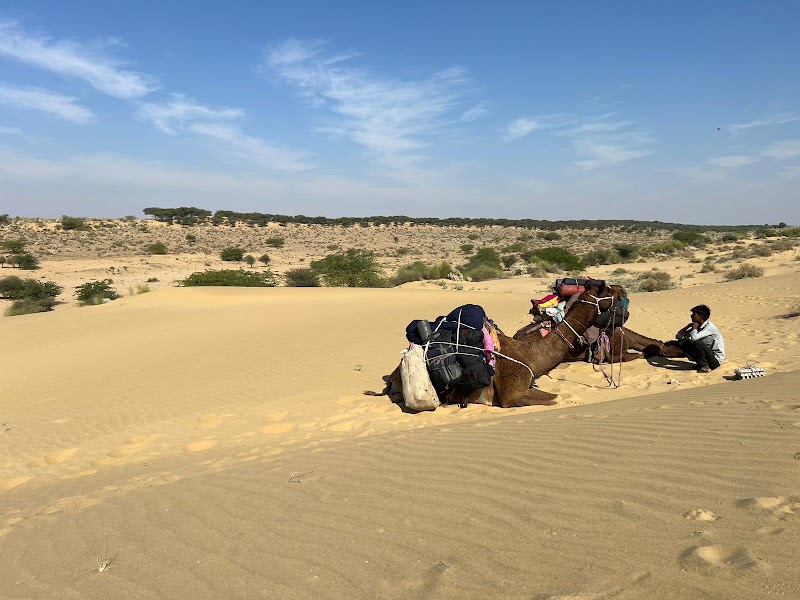 Khuri Dunes Camel Safari - Khuri Dunes Camel Safari, JP78+C2F, Ring Road, Khuri, Jaisalmer, Khoohdi, Rajasthan 345001, India