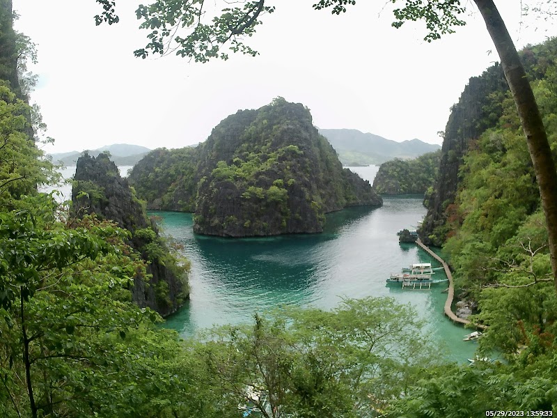 Smith Coral Garden - Smith Coral Garden Coron, Philippines