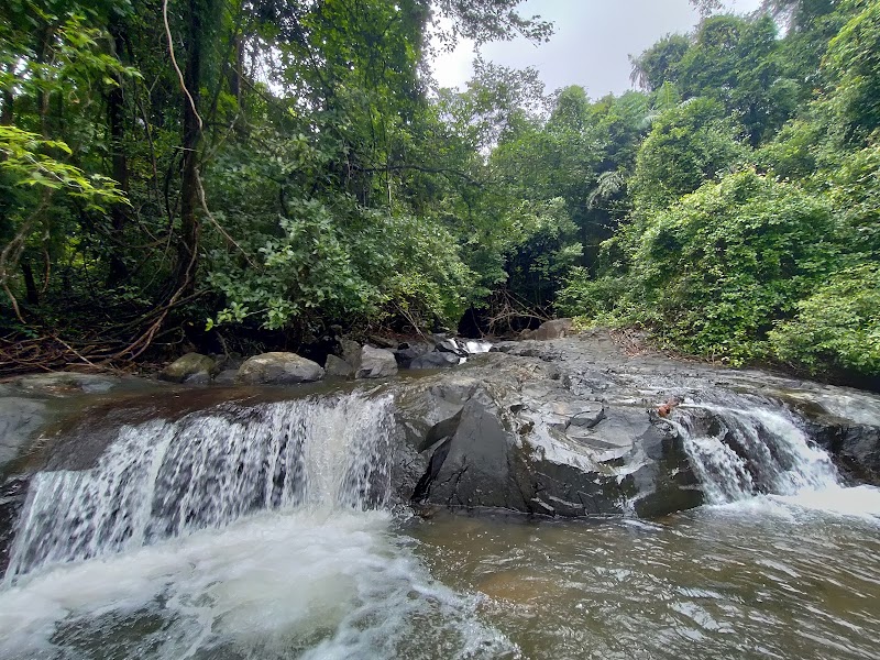 Tambdi Surla Waterfalls - Tambdi Surla Waterfalls Surla, Goa 403406, India