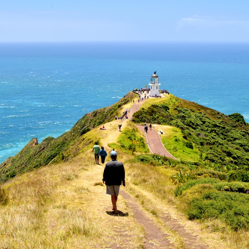 Mullarkey Tours - Mullarkey Tours 69 Marsden Road, Paihia 0200, New Zealand