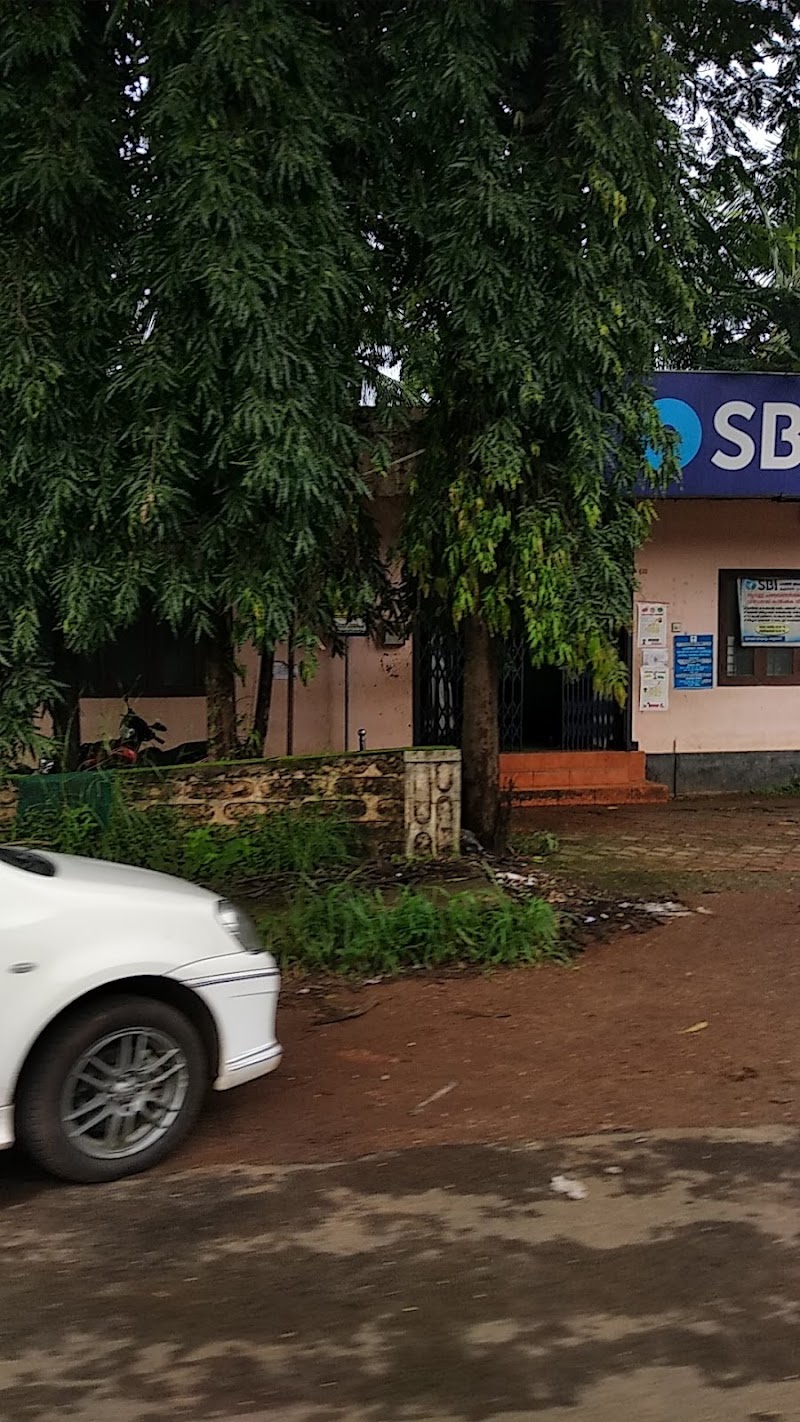 SBI Branch Palod - SBI Branch Palod, Palod Block, M.P, Arang, Raipur, Chhattisgarh 492101, India