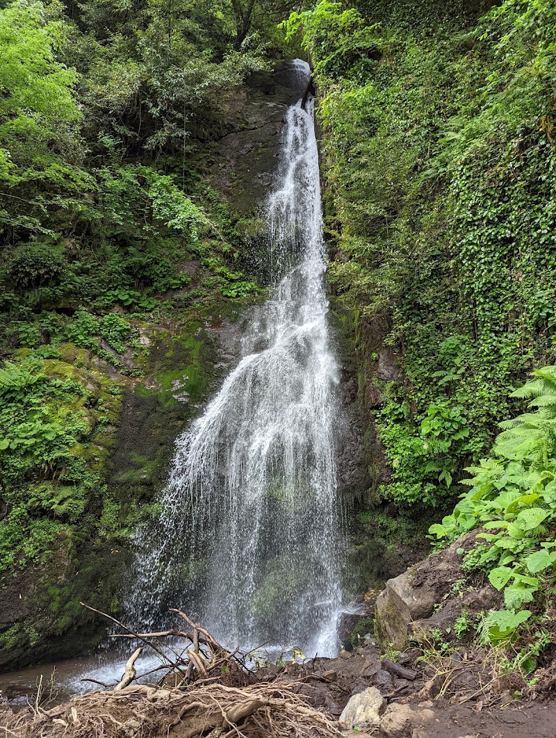 Chakvistavi - Chakvistavi, Georgia