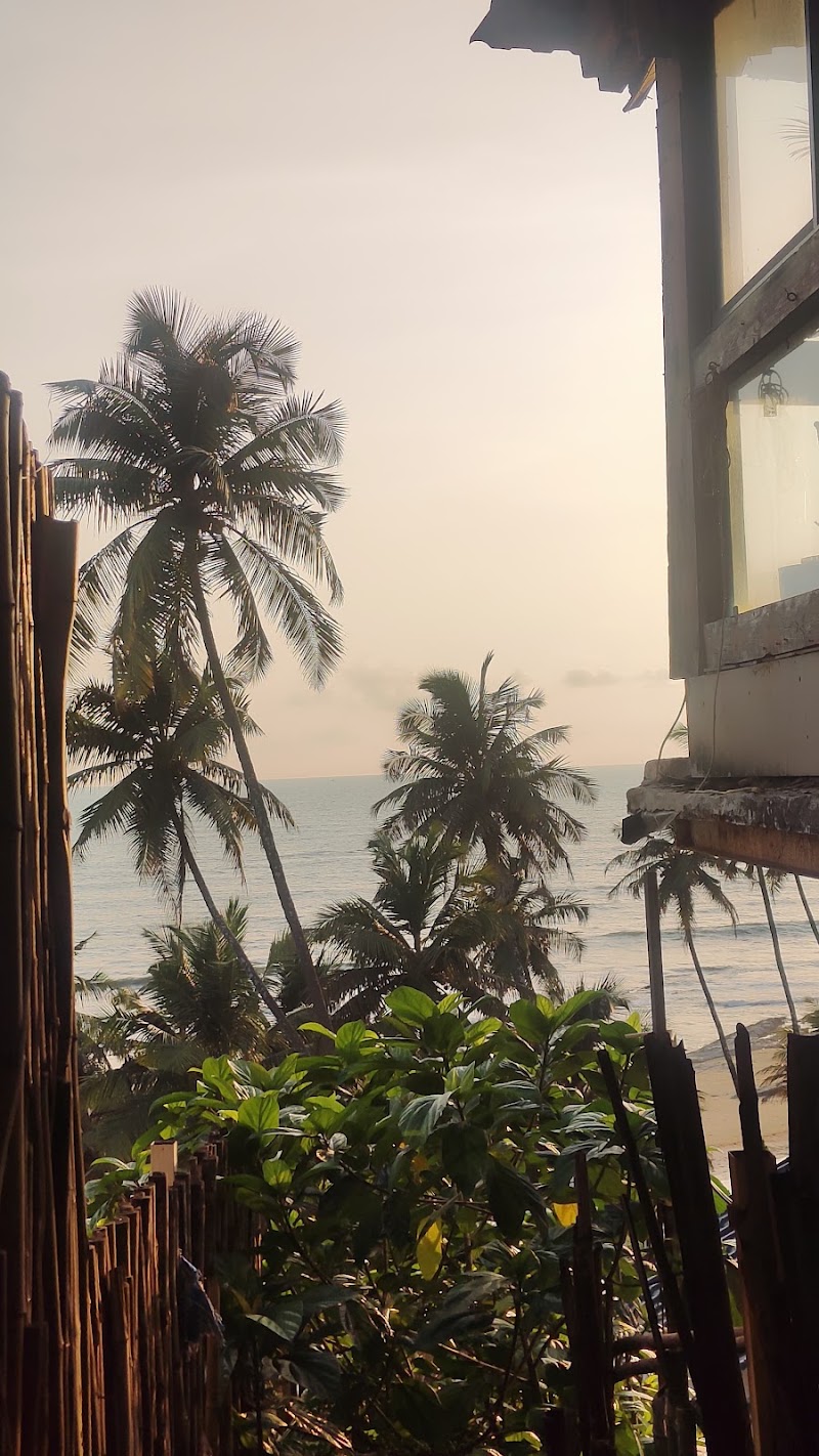 Parra coconut tree 🌴 road - Parra coconut tree 🌴 road, HQHJ+4RJ, St. Annes Church Rd, Parra, Goa 403510, India