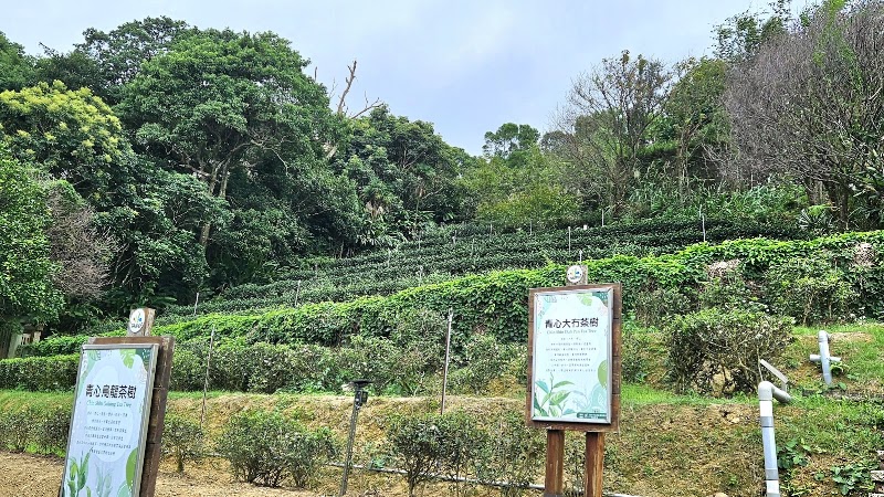 Taipei Tea Promotion Center - Taipei Tea Promotion Center, No. 8之2號, Lane 40, Section 3, Zhinan Rd, Zhinan Village, Wenshan District, Taipei City, Taiwan 116