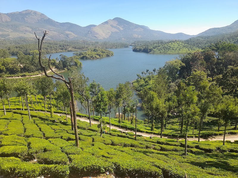 Munnar Hill Station (The Kashmir of South India) - Idukki District, Kerala, India - Munnar Hill Station (The Kashmir of South India) - Idukki District, Kerala, India 33Q5+HRC, Nullatanni, Munnar, Kerala 685612, India