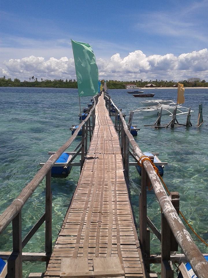 San Vicente Marine Sanctuary - San Vicente Marine Sanctuary, 62XF+C4Q, Lapu-Lapu, Philippines