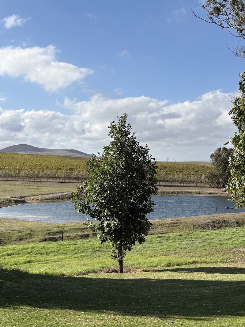 Diemersdal Wine Estate - Diemersdal Wine Estate, Koeberg Road, Durbanville, Cape Town, 7550, South Africa