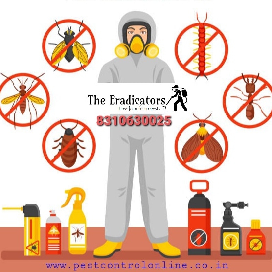 The Eradicators JP Nagar - Best Pest Control Services in Bangalore - The Eradicators JP Nagar - Best Pest Control Services in Bangalore, A-5,G.R TEJAS APARTMENT, 14th Main Rd, Kothnur, RBI Layout, JP Nagar 7th Phase, J. P. Nagar, Bengaluru, Karnataka 560078, India