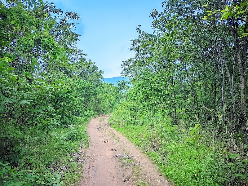 Junani waterfall - Junani waterfall, Bargarh, Odisha 768030, India