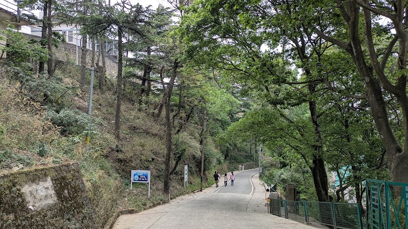 Upper Mall Road, kasauli - Upper Mall Road, kasauli VXX9+5PM, Kasauli, Himachal Pradesh 173204, India