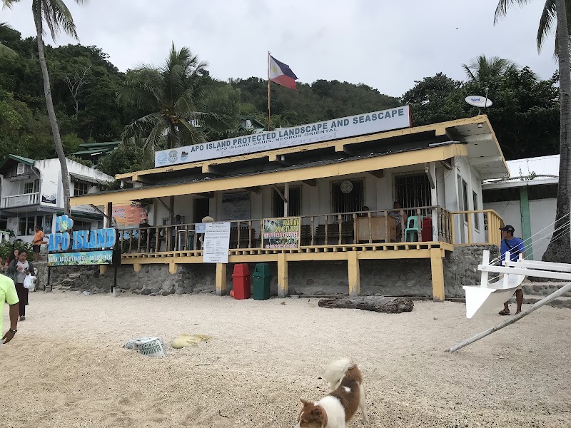 Apo Island Marine Sanctuary - Apo Island Marine Sanctuary, Philippines
