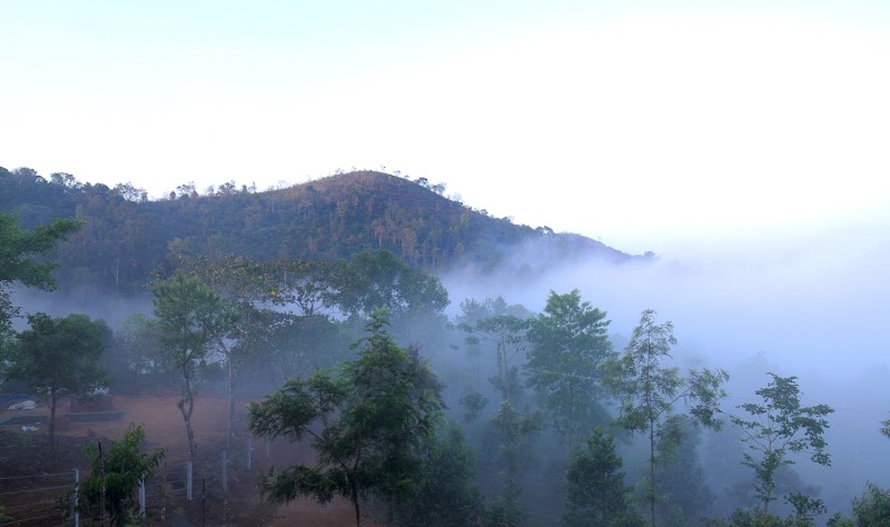 Spicewood Farms Pvt Ltd. - Spicewood Farms Pvt Ltd. Periya, Alattil, Kerala 670644, India