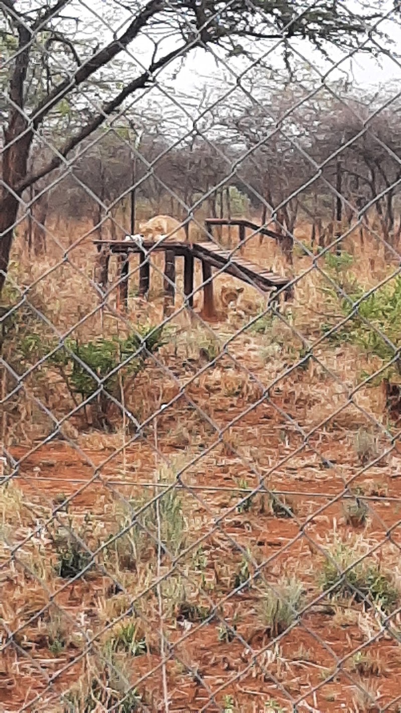 Tshabala Game Sanctuary - Tshabala Game Sanctuary, QH5C+QX3, Matopos Rd, Bulawayo, Zimbabwe