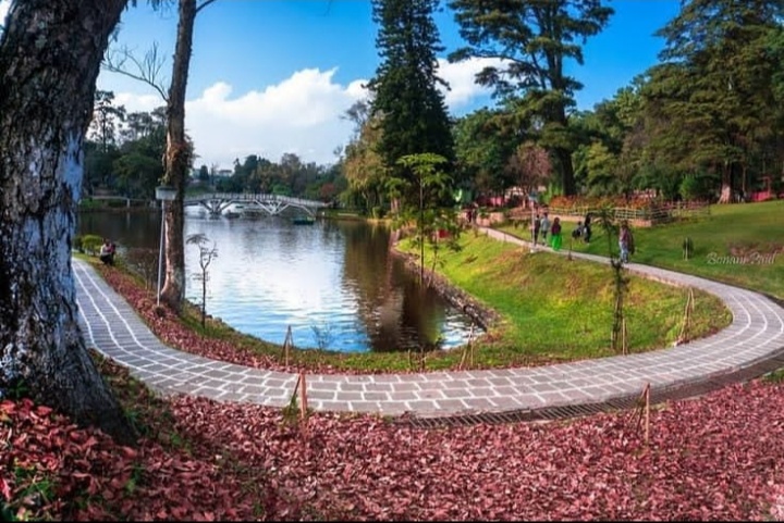 Ward's Lake