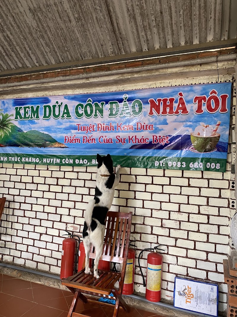 Homestay Nhà Tôi- Kem dừa Côn Đảo Nhà Tôi - Homestay Nhà Tôi- Kem dừa Côn Đảo Nhà Tôi, Huỳnh Thúc Kháng, Côn Đảo, Hồ Chí Minh, Vietnam