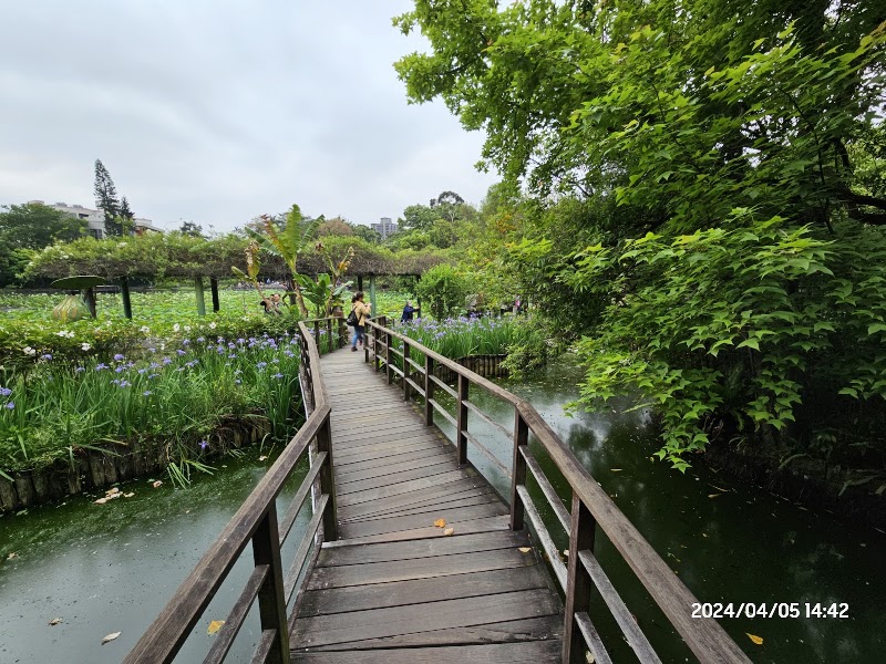 Small Pond of The Taipei Botanical Garden - Small Pond of The Taipei Botanical Garden No. 49號, Nanhai Rd, 中正區 Zhongzheng District, Taipei City, Taiwan 100