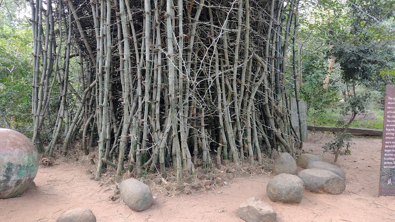 Matrimandir - Matrimandir Matrimandir, Auroville, Bommayapalayam, Tamil Nadu 605101, India