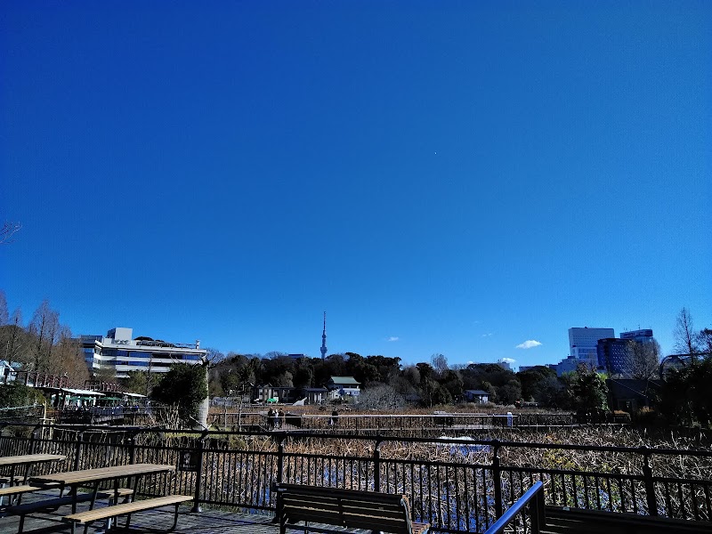 Shinobazuno Pond - Shinobazuno Pond Shinobazuno Pond, 3 Uenokoen, Taito City, Tokyo 110-0007, Japan