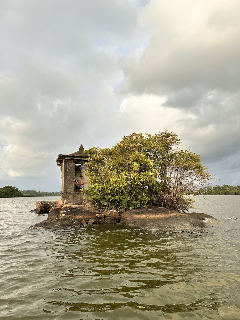 Madu River Safari by Buddhi - Madu River Safari by Buddhi, 11/9 Elathota Rd, Balapitiya 80550, Sri Lanka