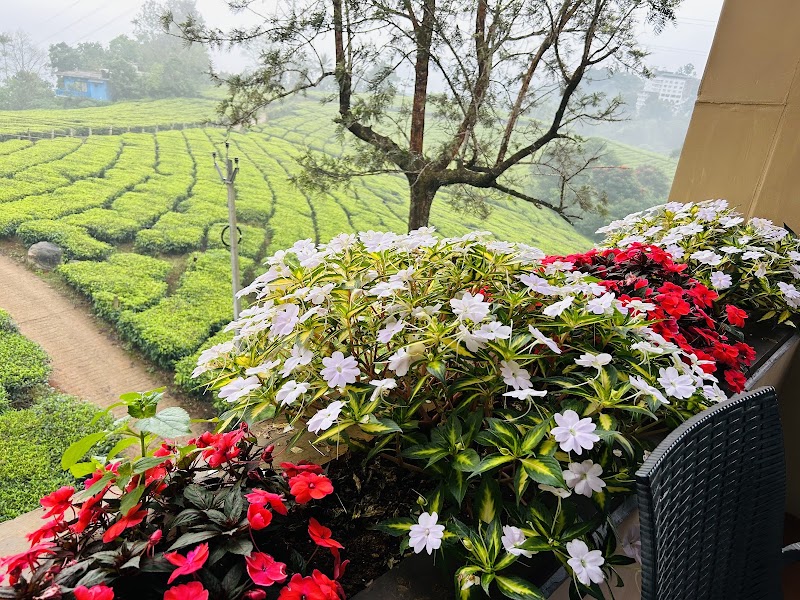 Gruenberg Tea Plantation Haus - Gruenberg Tea Plantation Haus Power house Road, Dobipalam, Chithirapuram, Kerala 685565, India